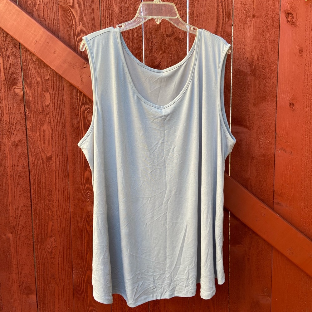 Terra & Sky Women's Sleeveless Top - Light Gray